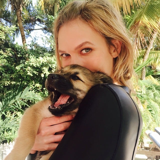 Add instant cuteness to any picture by letting your furry friend tag along! It's okay if your dog or cat hogs almost half of the frame, it will still look adorable anyway. And don't you just love showing your babies to the world?