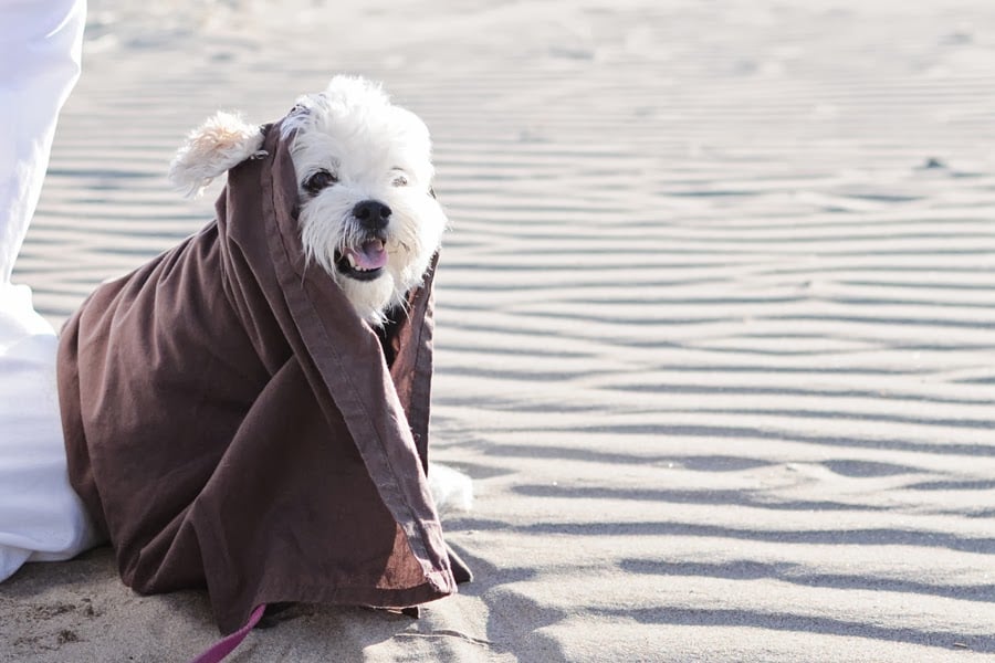 Homemade Ewok or Jawa costume