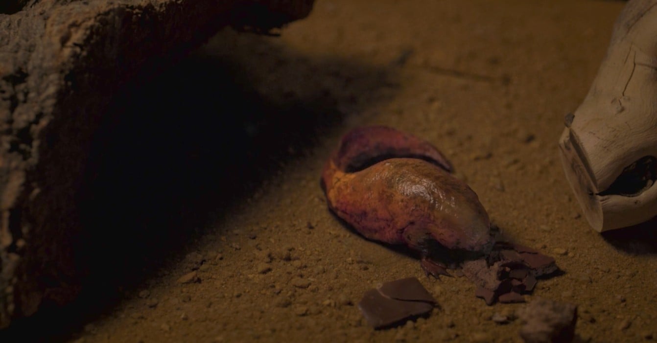 How Does Dart Get Into Dustin's Trash Can? POPSUGAR Entertainment