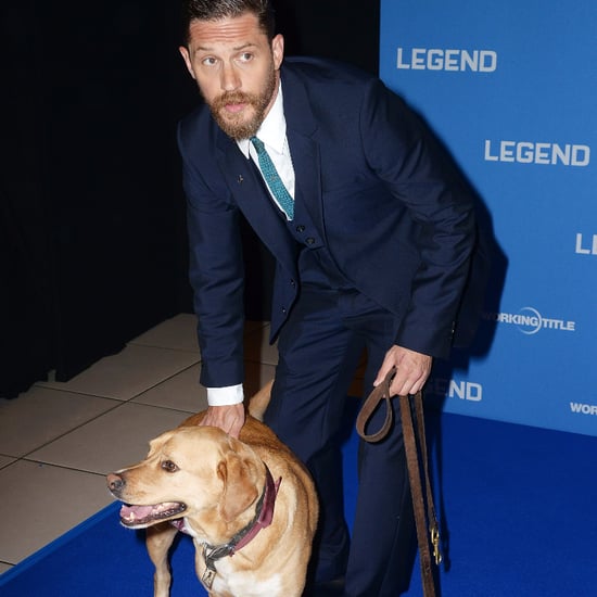 Tom Hardy's Dog at Legend Premiere