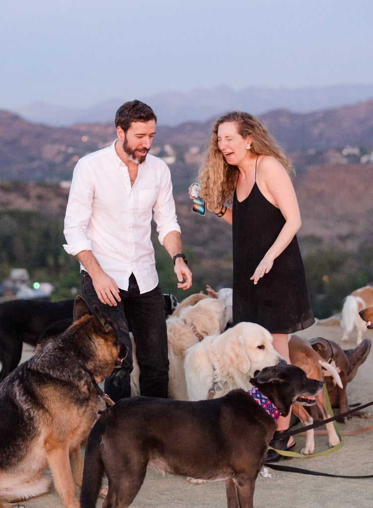 Man Proposes to His Girlfriend With 16 Dogs