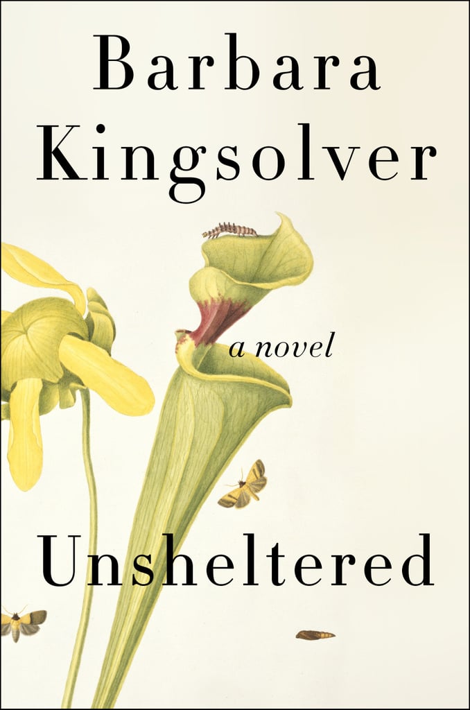 unsheltered book review