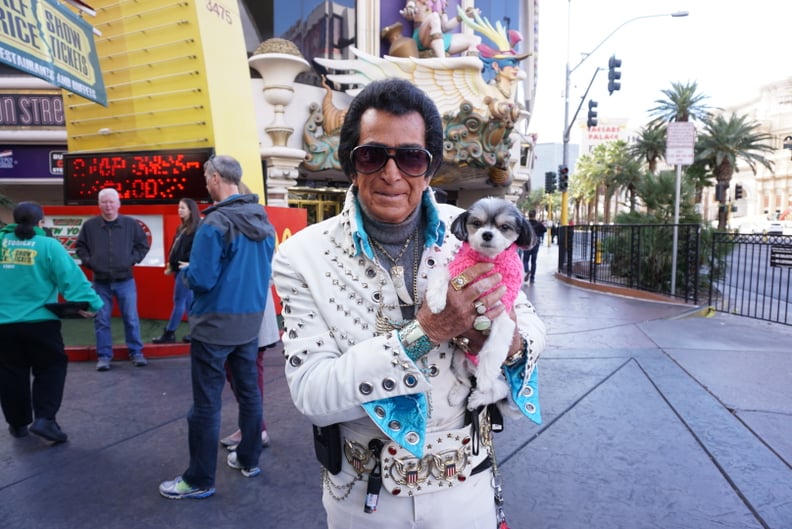 I got to cuddle with a really old Elvis impersonator.