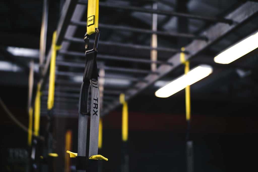 Beginner TRX Arm Workout