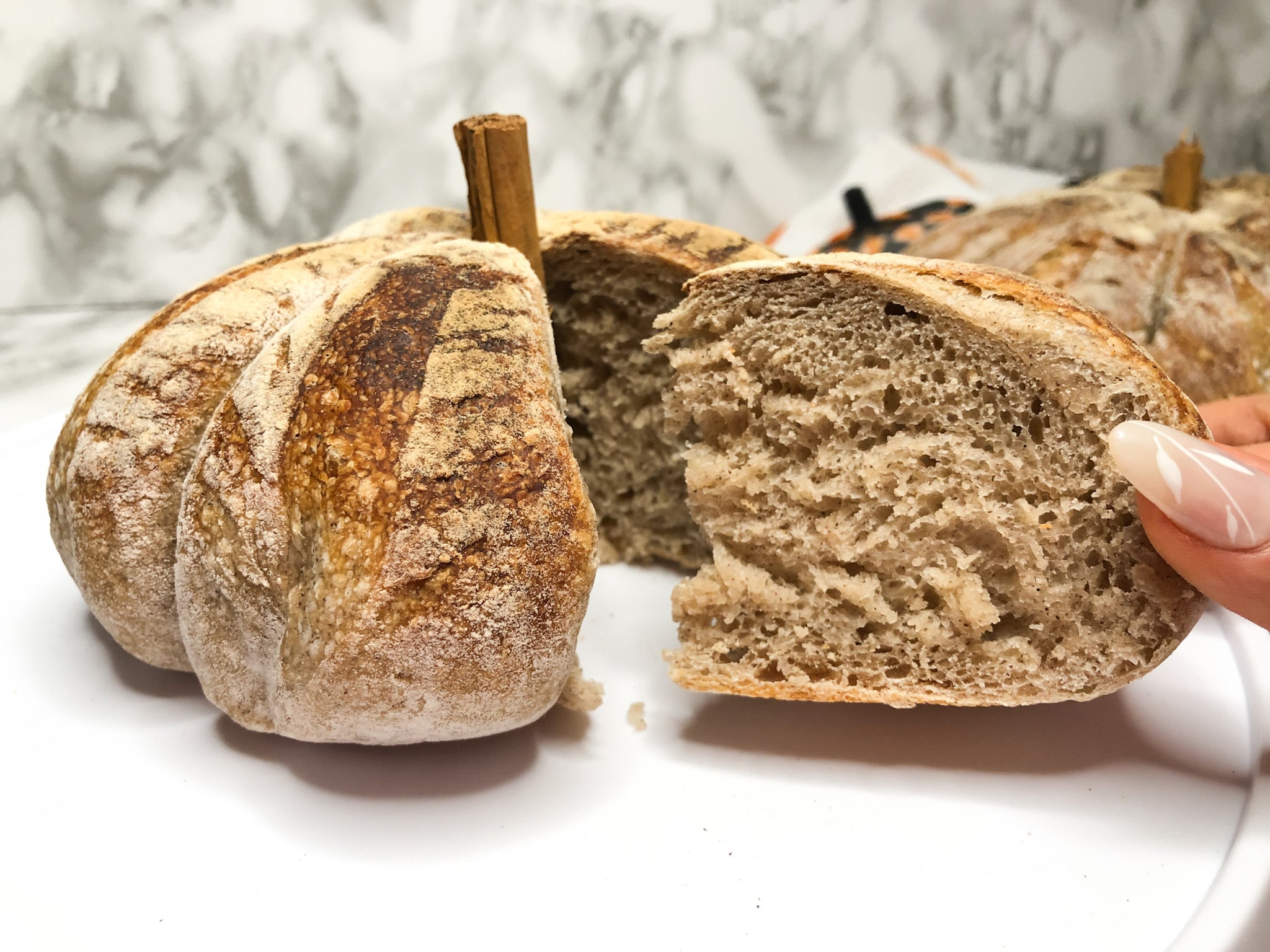 RECIPE  Pumpkin and Chocolate Sourdough Loaf baked in Lodge Cast Iron Loaf  Pan — Artisan Bryan