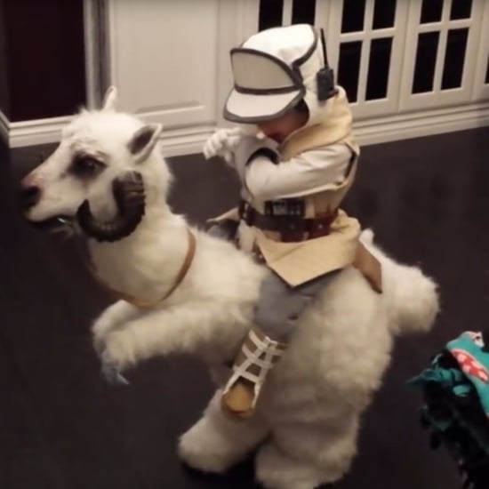Homemade Star Wars Tauntaun Costume