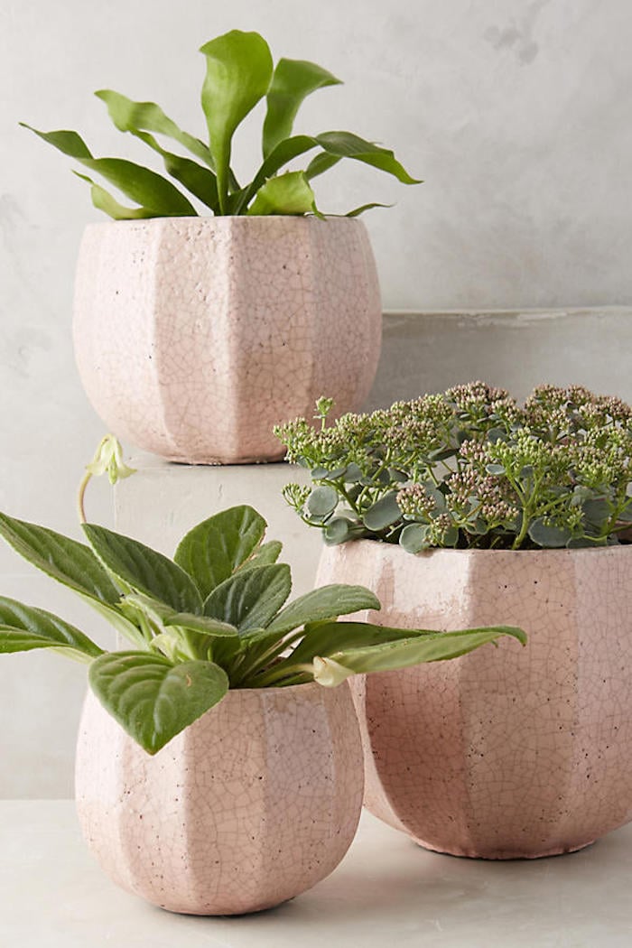 Anthropologie Ridged Terracotta Pot