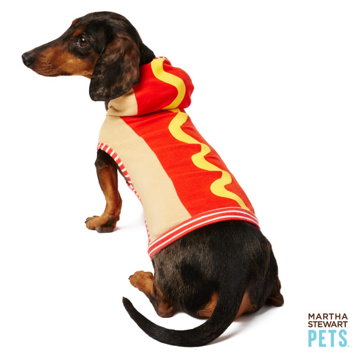 The Most Popular Dog Costumes POPSUGAR Pets