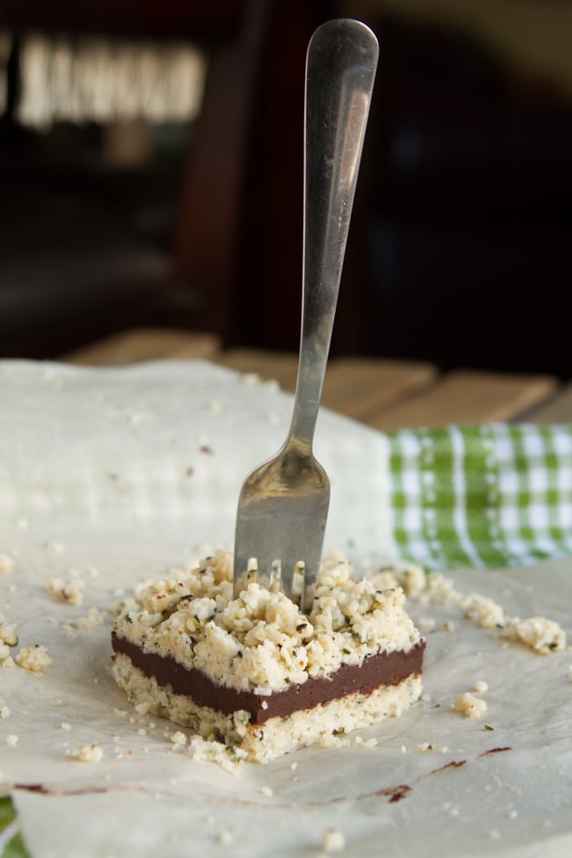 Keto No-Bake N'oatmeal Fudge Bars