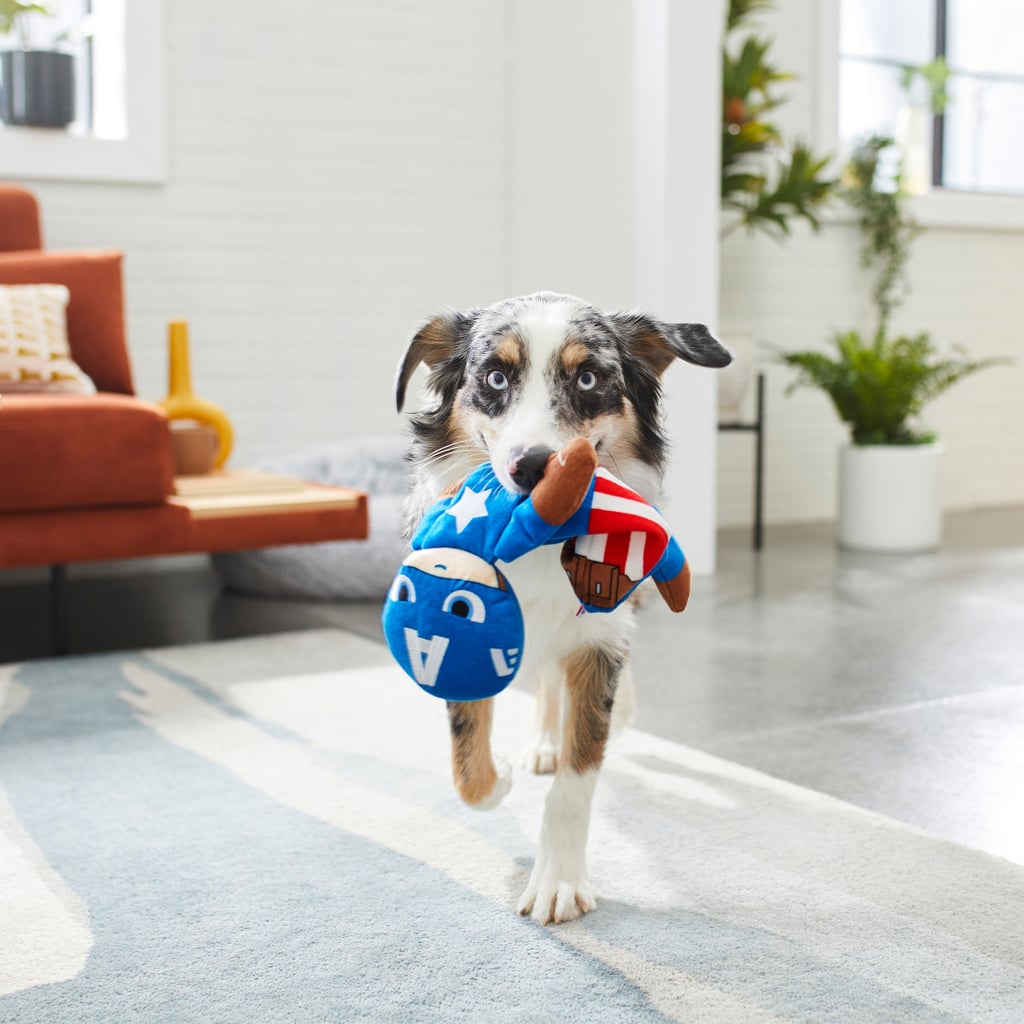 Marvel 's Captain America Bungee Plush Squeaky Dog Toy