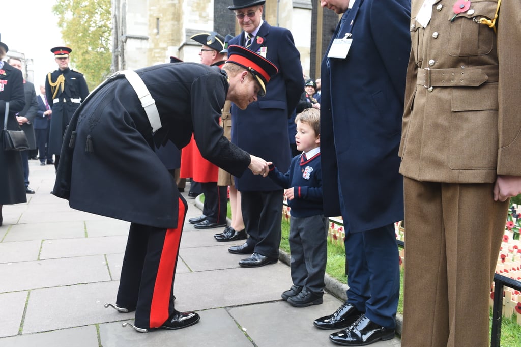 Prince Harry Visiting the Field of Remembrance 2017