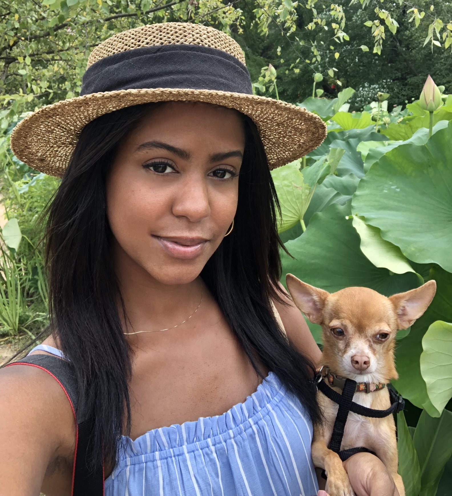 Why Won't My Rescue Dog Play With Toys? POPSUGAR Pets