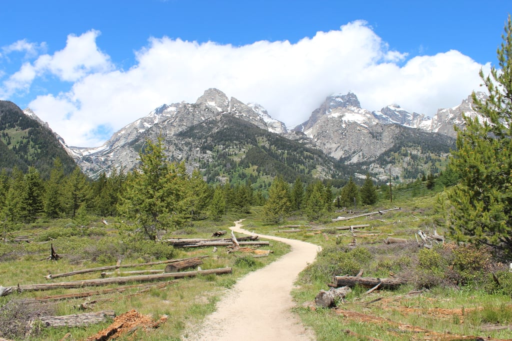 Park yourself at Grand Teton National Park for much-needed unplugging.