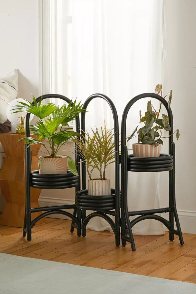 A Boho Plant Stand: Rattan Plant Stand