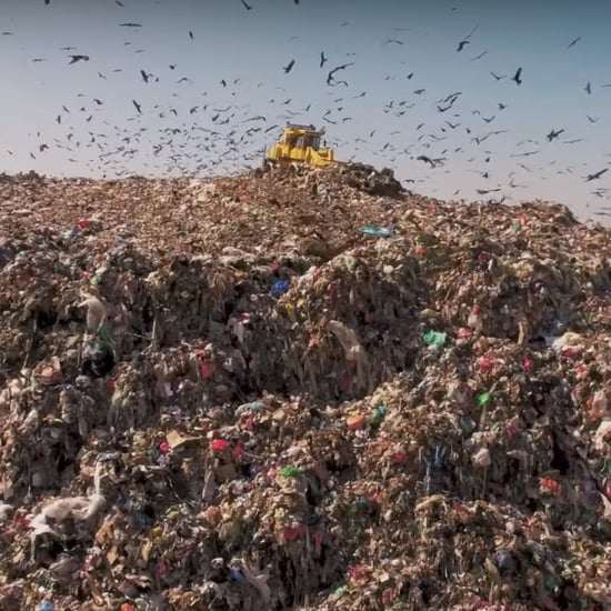 Anthony Bourdain's Wasted! Trailer