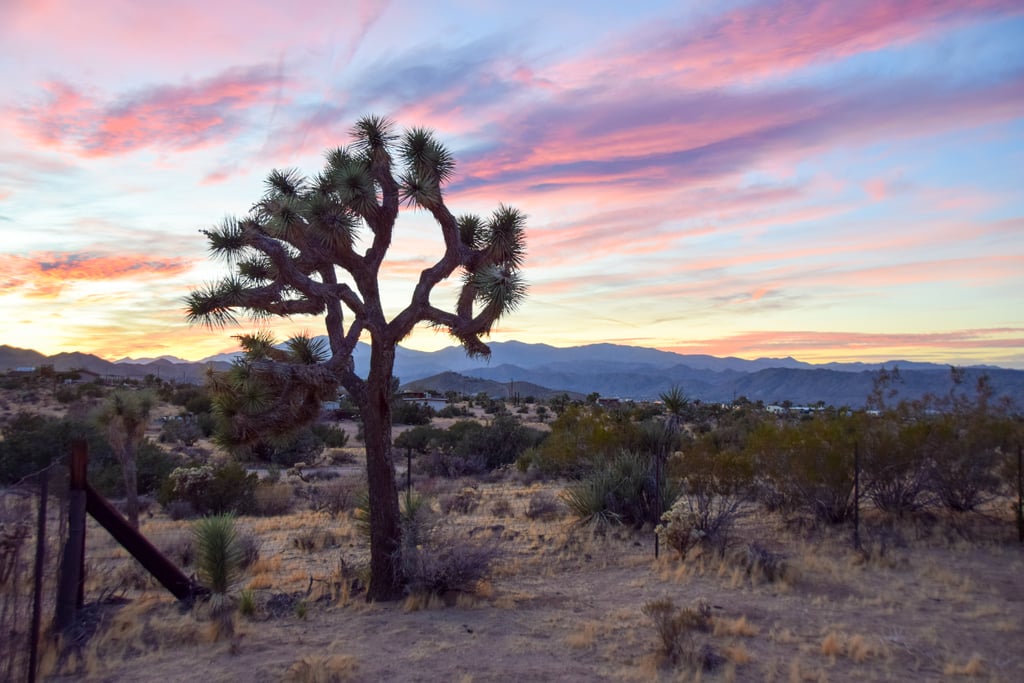 Desert Sunsets