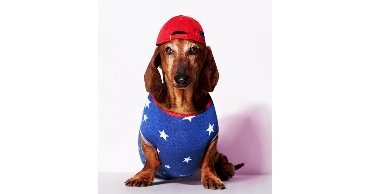 Wilco American Eagle Dog Clothes Line POPSUGAR Fashion Photo 3