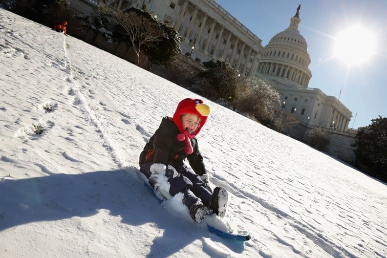 Snowy Sleds