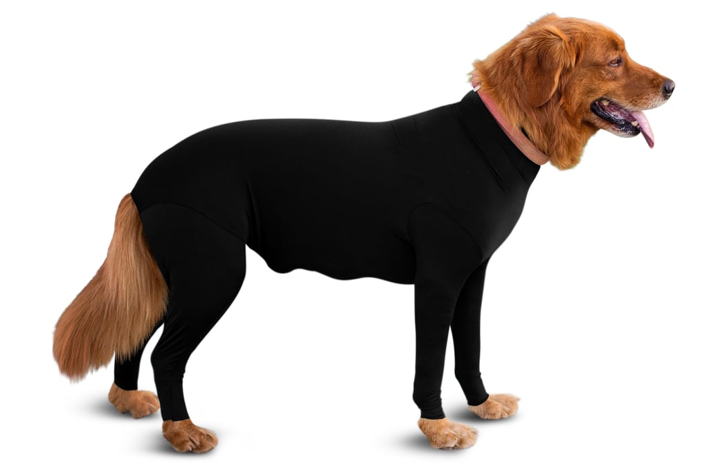 Shed Defender Dog Leotards | POPSUGAR Australia Smart Living