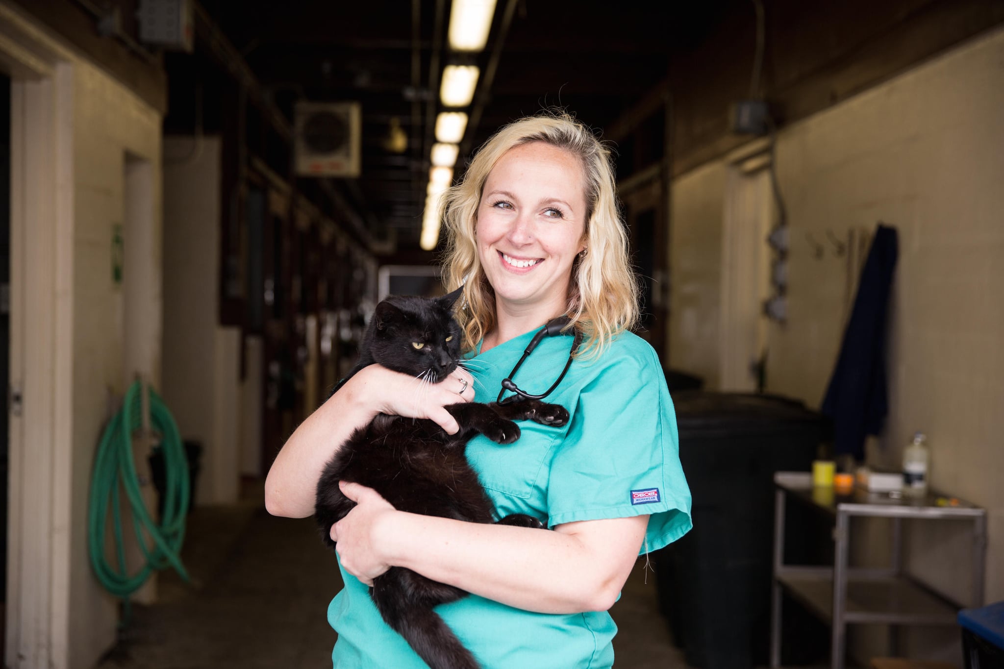 Animal Life at Vet U Interview POPSUGAR Money & Career