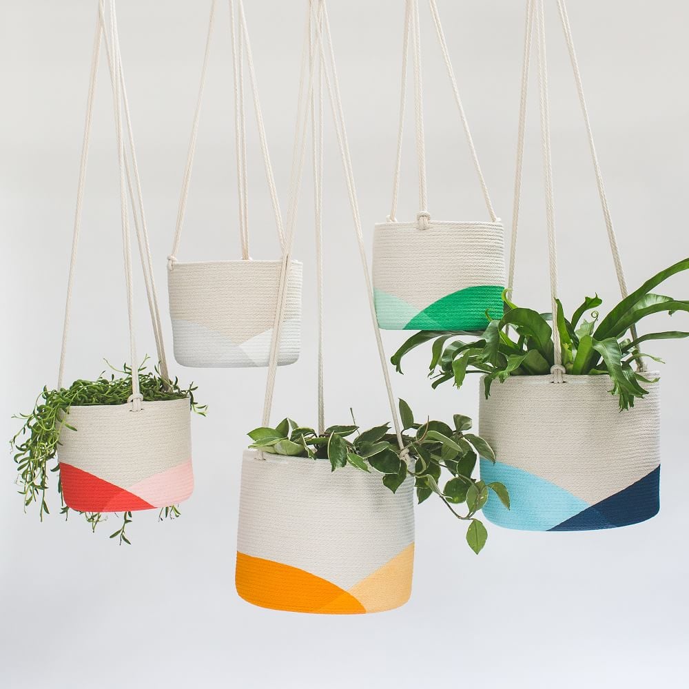 Closed Mondays Hanging Planters