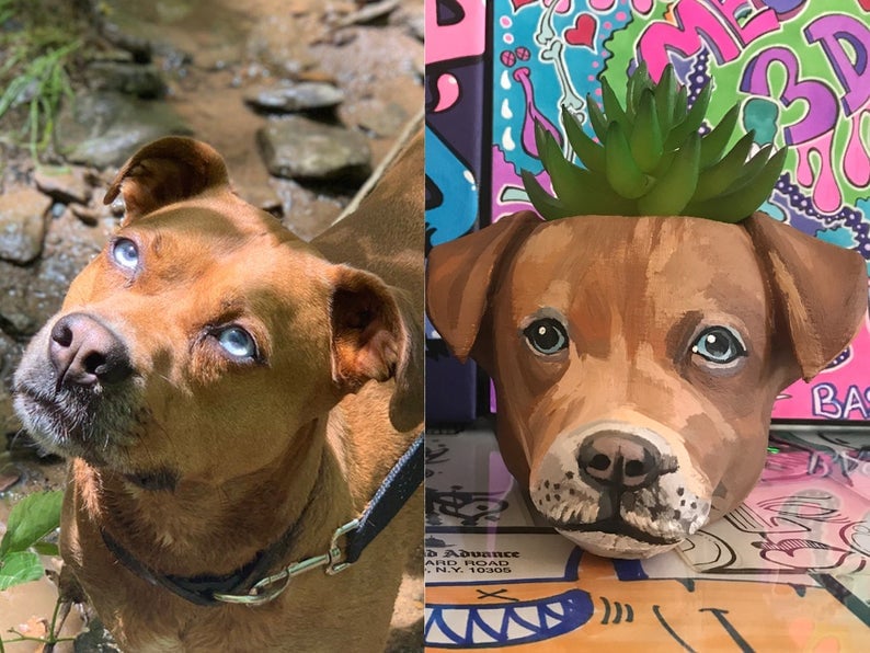 Get a Custom Painted Planter With Your Dog's Face on Etsy