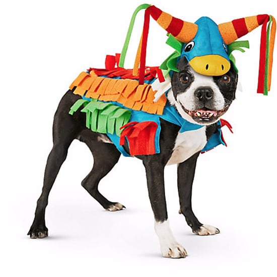 Petco Halloween Costumes 2022 Petco Dog Halloween Costumes 2016 Popsugar Pets