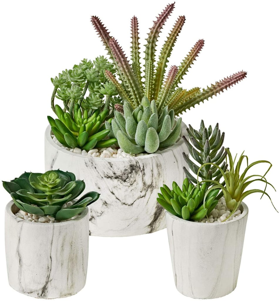 A Marbled Pot: Motini Artificial Succulent Plants Set of 3