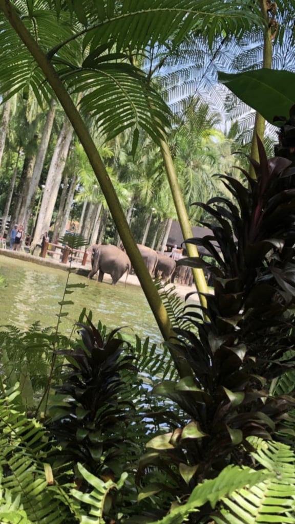 Kim Kardashian and Kanye West's Vacation Photos in Bali 2019