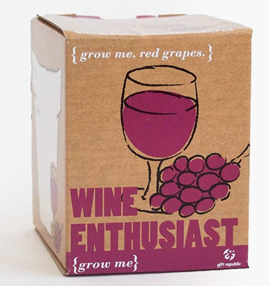 Secret Santa Gift Ideas: Gift Republic Store Wine Enthusiast Grow Me Kit