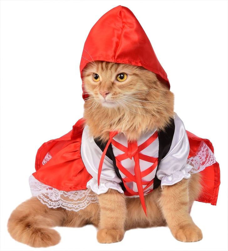Red Riding Hood Cat Costume Best Cat Costumes For Halloween 2019