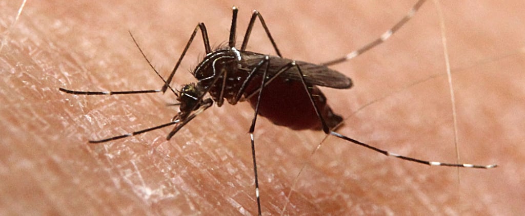 Skeeter Syndrome: The Mosquito-Borne Illness Every Parent Should Know About