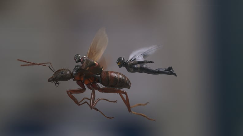 Ant-Man and the Wasp's true villain is not who it appears to be - Vox