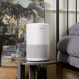 The 11 Best Air Purifiers on the Market