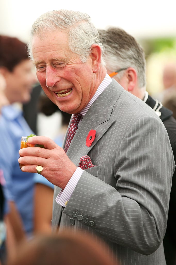 Prince Charles and Camilla in New Zealand Nov. 2015 Pictures