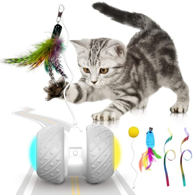 K-berho Cat Interactive Toy