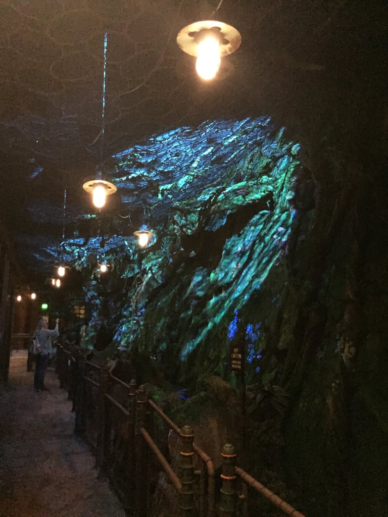 Can You Get FastPasses For Pandora World of Avatar?