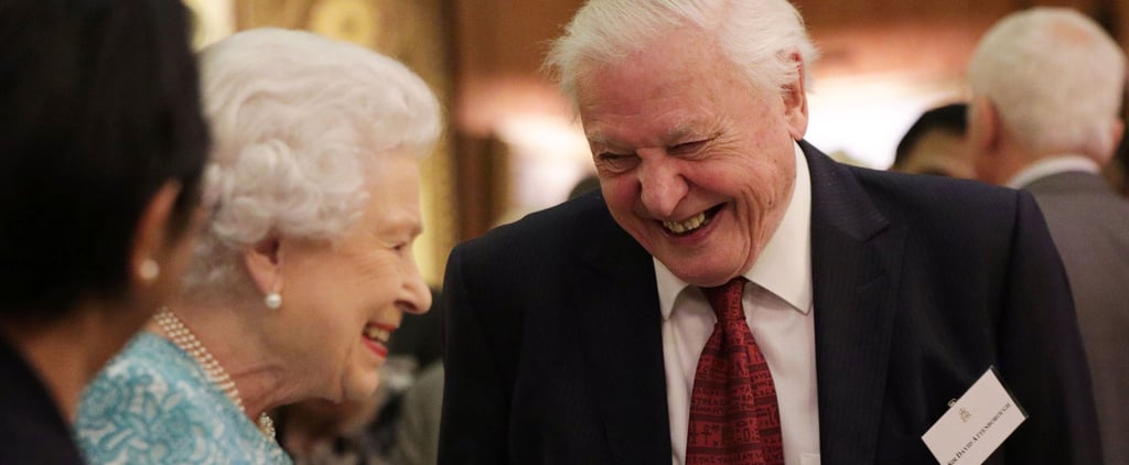 The Queen Bans Plastic Straws and Bottles at the Palace