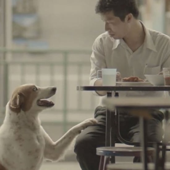 Heartwarming Thai Commercial