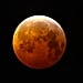 What Is a Wolf Moon? An Astrologer Explains Its Meaning