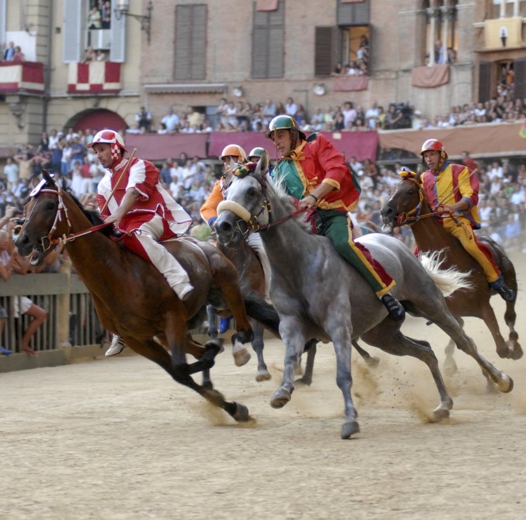 Attend the Palio Horse Race in Siena, Italy