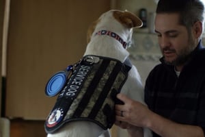 Service Dogs Save Veterans' Lives, So Why Aren't They Covered by the VA?