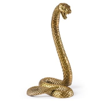Wunderkammer Snake