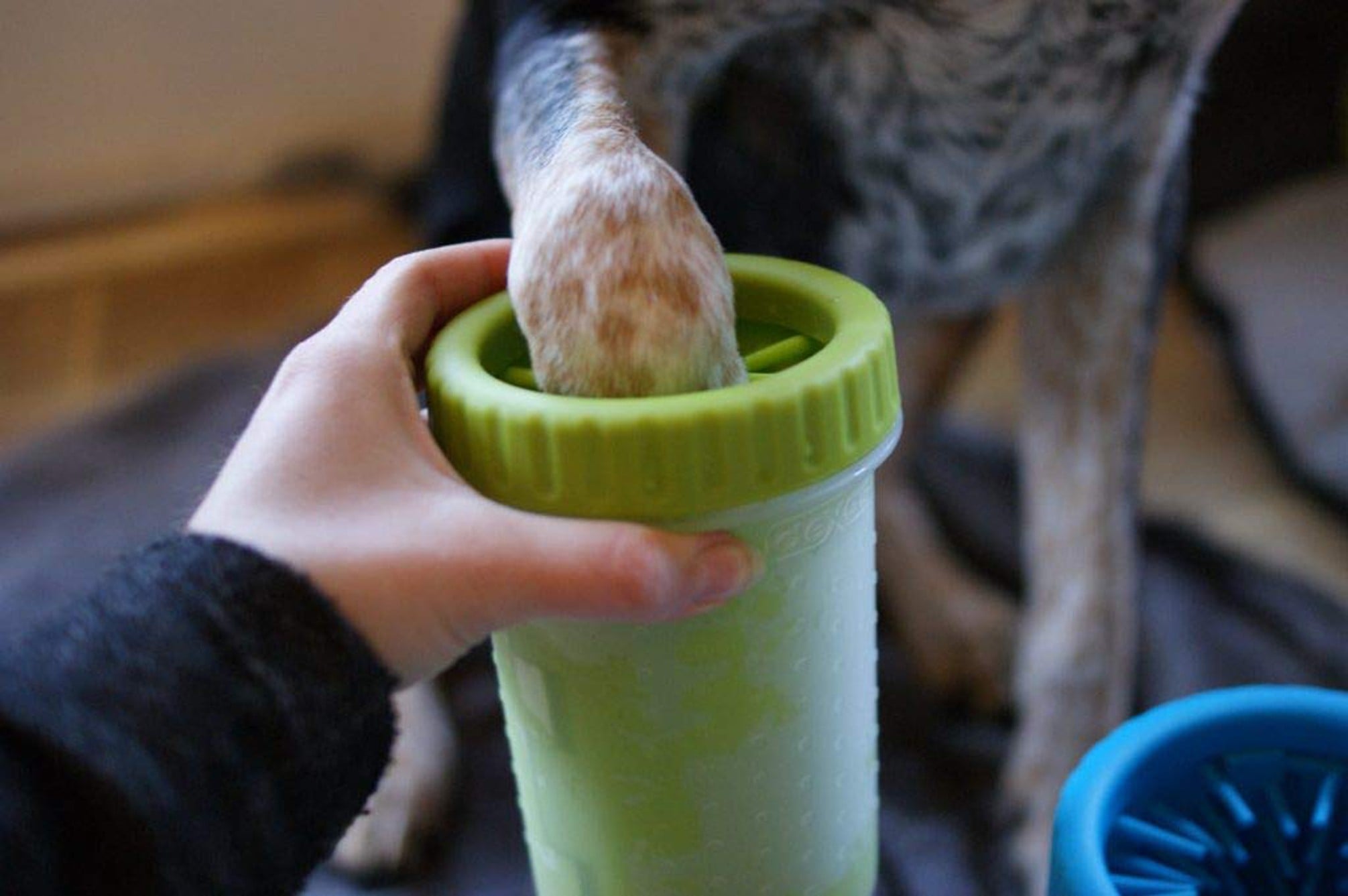 The Mudbuster Is a Must-Have For Cleaning Dirty Paws Quickly and Easily