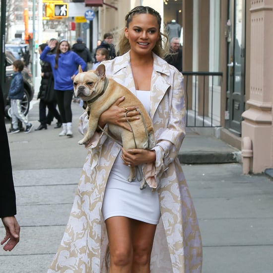 Chrissy Teigen Walking Her Dog in NYC March 2016