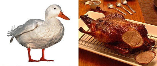 Pekin Duck vs. Peking Duck | POPSUGAR Food