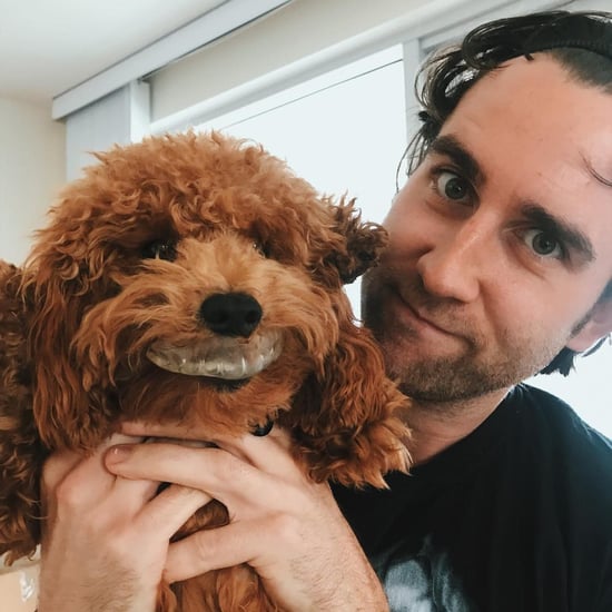 Pictures of Matthew Lewis and His Dogs