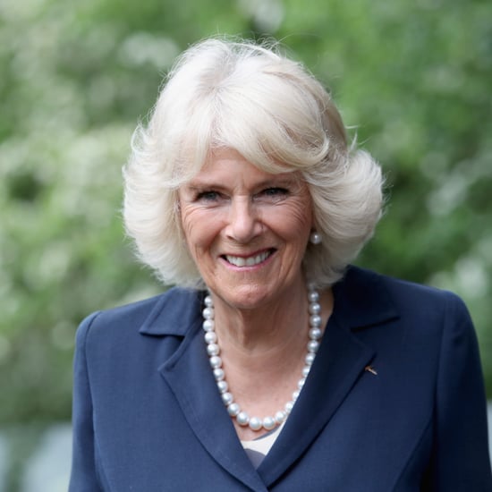 Is Camilla Parker Bowles the Princess of Wales?