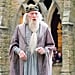 How Did Dumbledore's Sister Die?