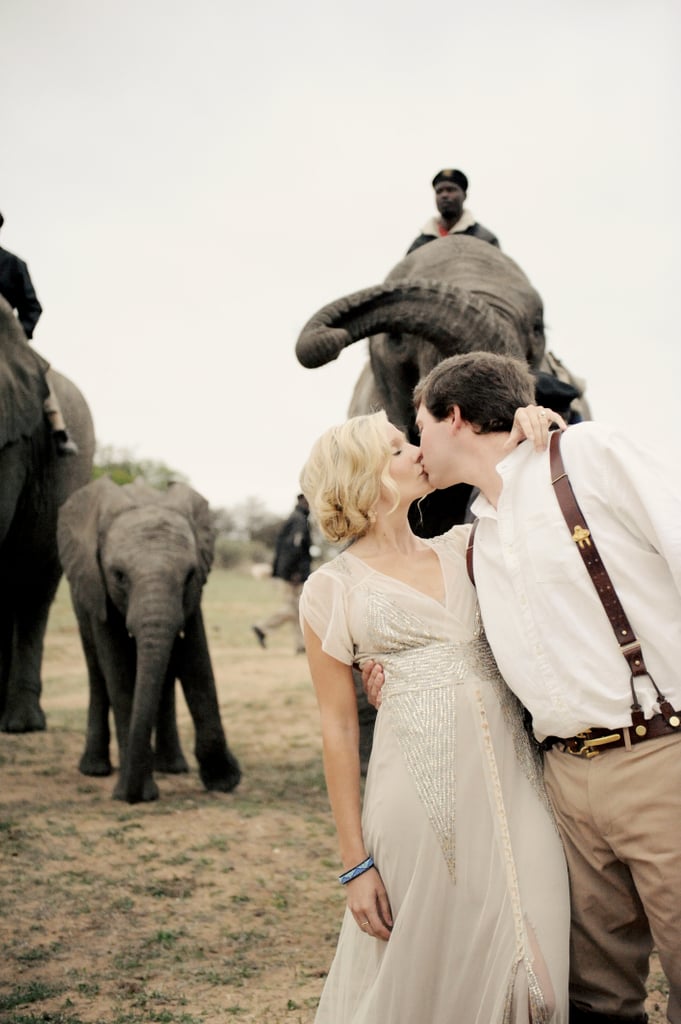 Nolen and Janna traveled to South Africa for their intimate wedding. The ceremony was held at Camp Jabulani, and their aisle was anything but ordinary — it was a line of 12 elephants. See the wedding here!